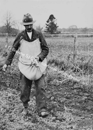 SOWING NEAR DAIRY HILL